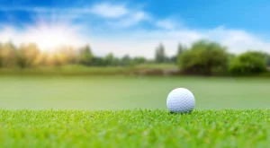 AdobeStock_222559987_result