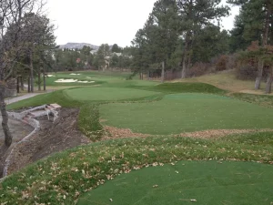 tee3-1024x768_result